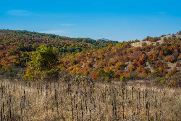istock Mountain landscape woods,hills, clouds and sky, Serbia 1069804328