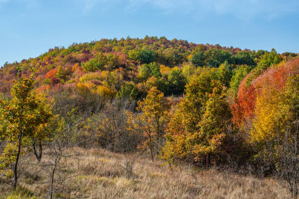 istock Mountain landscape woods,hills, clouds and sky, Serbia 1069804446