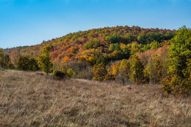istock Mountain landscape woods,hills, clouds and sky, Serbia 1069804454