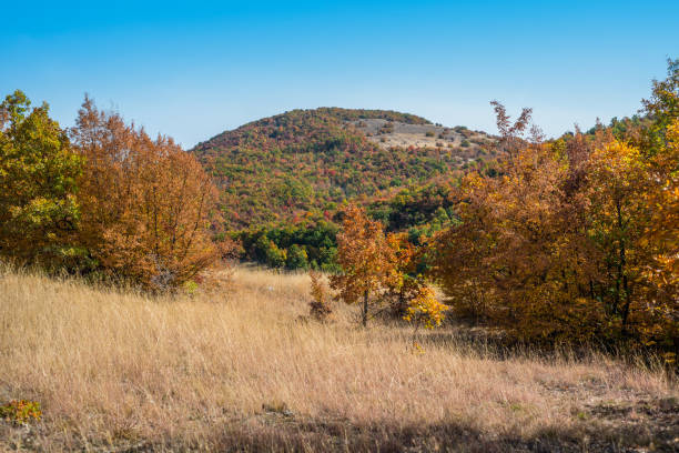 istock Mountain landscape woods,hills, clouds and sky, Serbia 1069804534