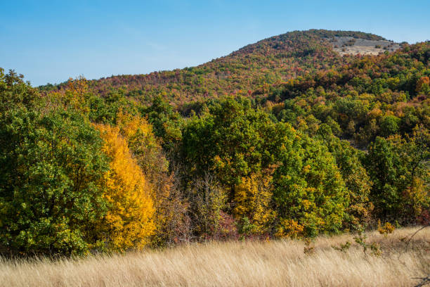 istock Mountain landscape woods,hills, clouds and sky, Serbia 1069804536