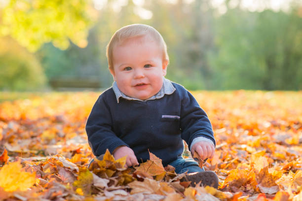 istock Baby Boy Sitting in the Leaves 1069815100
