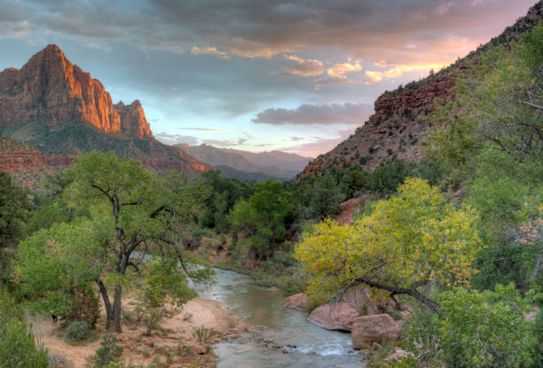 istock Zion National Park, Utah 1069818024