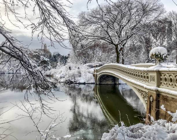 istock Bow bridge,Central Park, New York Cit 1069818434