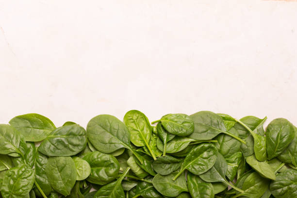 istock Healfy fresh mini spinach on old concrete marble table 1069818724