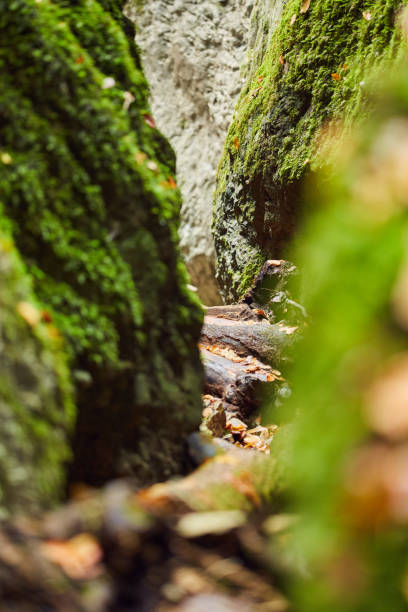istock Canyon landscape in the fall 1069827238