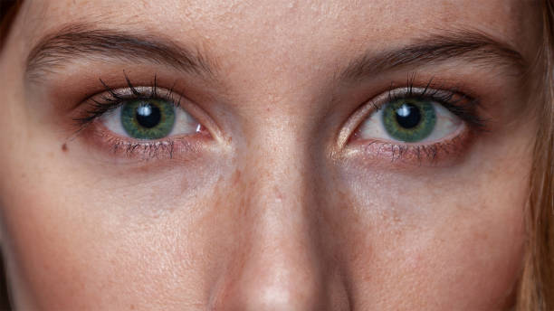 The Ayes have it Close-up of green eyes green eyes photos stock pictures, royalty-free photos & images