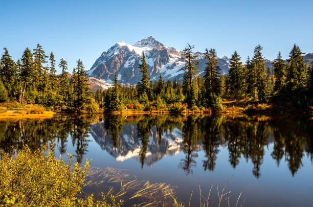 reflet du mont shuksan en automne - mont shuksan photos et images de collection