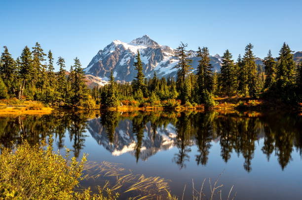 istock Mt. Shuksan Reflection in Autumn 1069833444