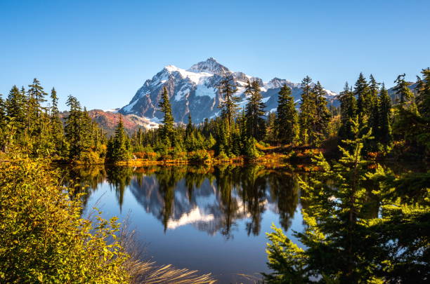 istock Mt. Shuksan Reflection in Autumn 1069833484