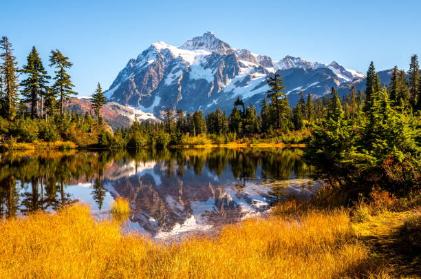 Mt. Shuksan Reflection in Autumn Mt Shuksan in Washington State, USA picture lake stock pictures, royalty-free photos & images