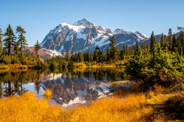 Mt. Shuksan Reflection in Autumn Mt Shuksan in Washington State, USA cascade range north cascades national park mt baker mt shuksan stock pictures, royalty-free photos & images