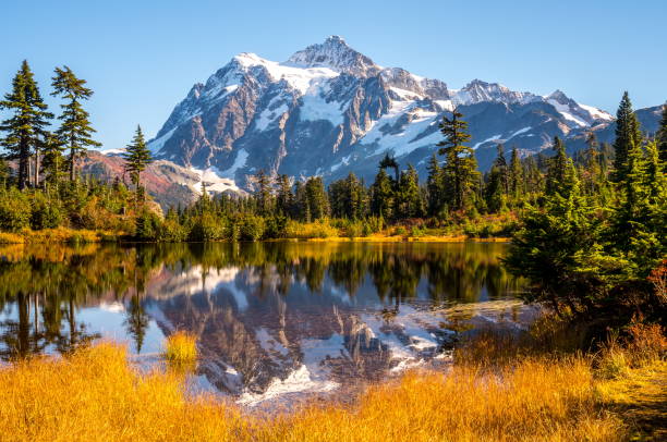 istock Mt. Shuksan Reflection in Autumn 1069833674