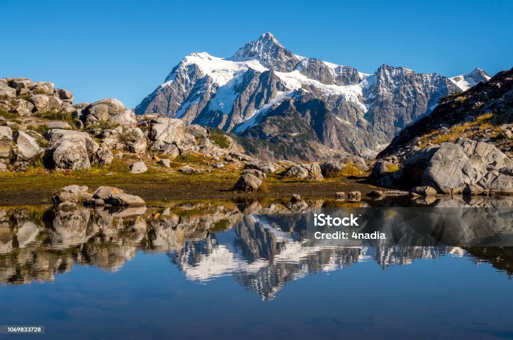 Reflet du Mont Shuksan en automne - Photo de Arbre libre de droits