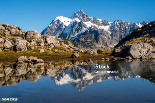 Photo libre de droit de Reflet Du Mont Shuksan En Automne banque d'images et plus d'images libres de droit de Arbre - Arbre, Automne, Beauté de la nature