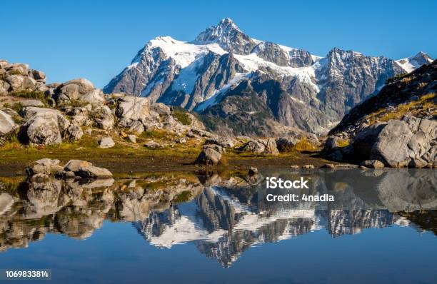 Photo libre de droit de Reflet Du Mont Shuksan En Automne banque d'images et plus d'images libres de droit de Arbre - Arbre, Automne, Beauté de la nature