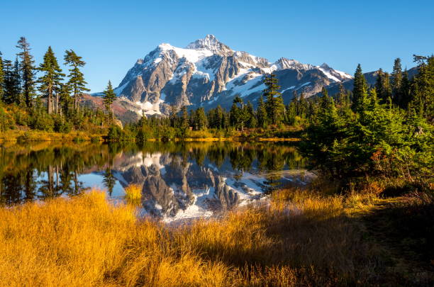 reflejo del monte shuksan en otoño - lago picture fotografías e imágenes de stock