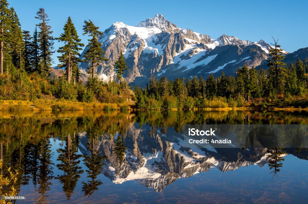 Reflet du Mont Shuksan en automne - Photo de Arbre libre de droits