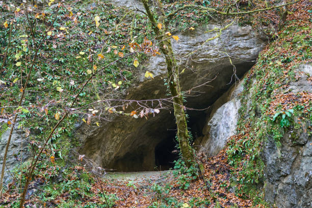 istock Entrance of a cave 1069835552