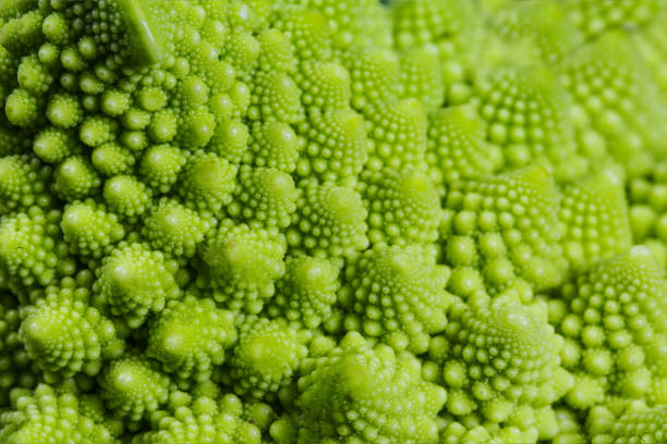 Backgrounds and textures: abstract green natural background, Romanesco broccoli, close-up shot, selective focus Backgrounds and textures: abstract green natural background, Romanesco broccoli, close-up shot, selective focus. fractal plant cabbage textured stock pictures, royalty-free photos & images