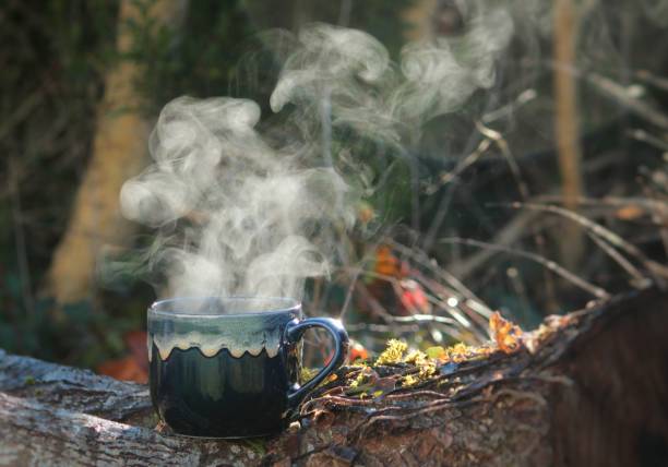Steam rises from hot coffee on mossy wood log in nature.