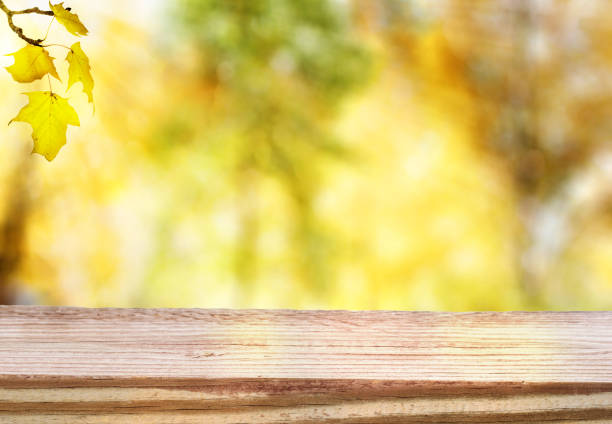 istock Wooden table with an autumn sky and foliage 1069846092