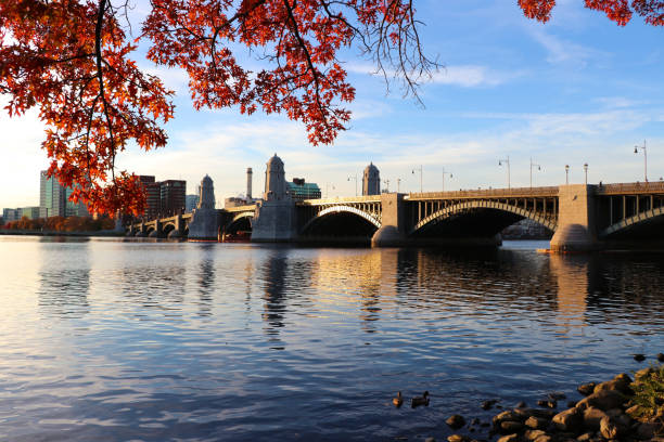 boston autumn-charles river and longfellow bridge - boston sunset city bridge imagens e fotografias de stock