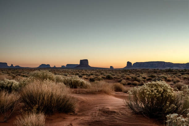 predawn monument valley landscape with sand and bushes in the foreground - monument valley usa panoramic imagens e fotografias de stock