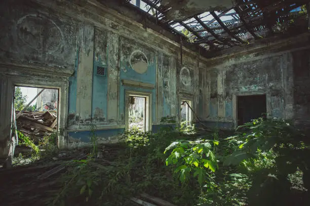 Ruined mansion hall interior overgrown by plants. Nature and abandoned architecture, green post-apocalyptic concept.
