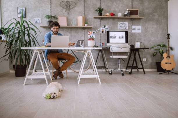 busy young freelancer at home office - white dog audio imagens e fotografias de stock