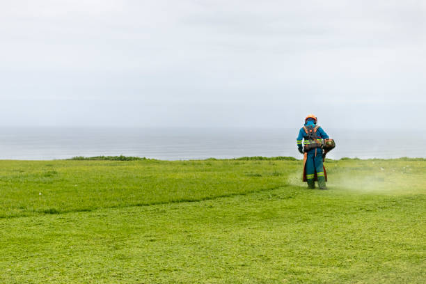 Gardener trimming the grass in a park
