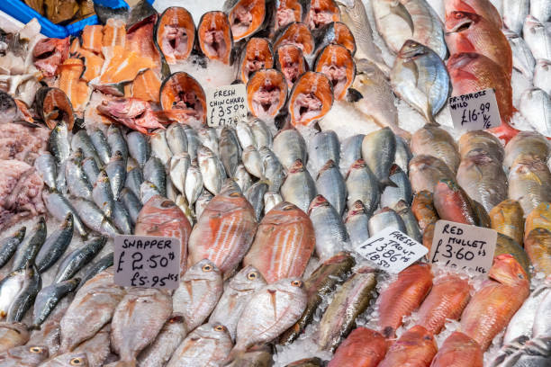 istock Fresh snapper, mullet and trout for sale 1069881528
