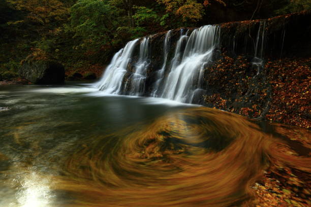 istock Falls of autumnal leaves 1069885232