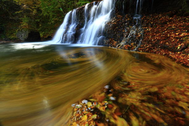 istock Falls of autumnal leaves 1069888180