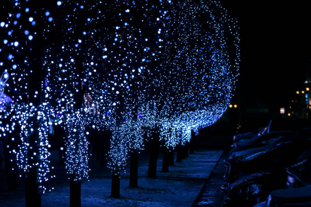 istock trees decorated with christmas blue light garlands 1069897800