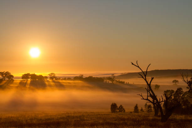 istock Cullenbone, New South Wales 1069900178