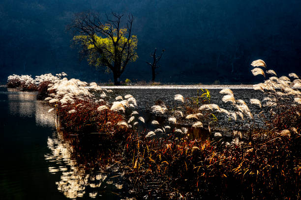 The autumn scenery was created as the water level increased in the upper part of Hapcheon Dam in The South Sea of Geochang-gun, Gyeongsangnam-do.