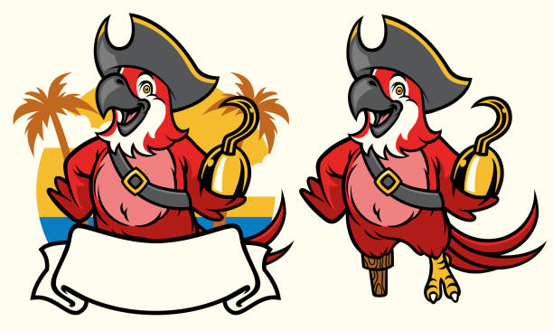 macaw bird pirate cartoon vector of macaw bird pirate cartoon school mascot costume stock illustrations