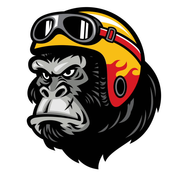 gorilla kopf tragen des helms - silberrucken gorilla stock-grafiken, -clipart, -cartoons und -symbole