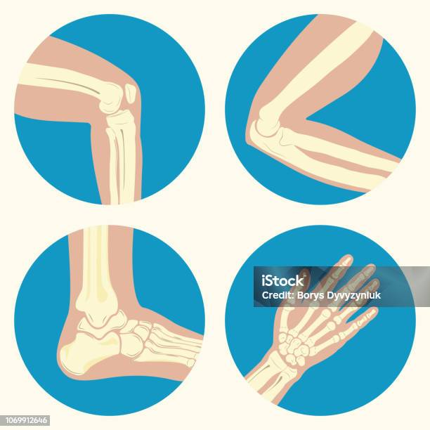 Set Of Human Joints - Arte vetorial de stock e mais imagens de Articulação - Parte do corpo - Articulação - Parte do corpo, Osso, Símbolo de ícone