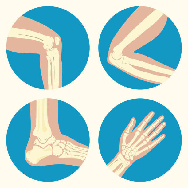 Set of human joints Set of human joints, knee joint, elbow joint, ankle joint, wrist, emblem or sign of medical diagnostic center or clinic, flat design, vector x ray tarsal ankle and foot stock illustrations