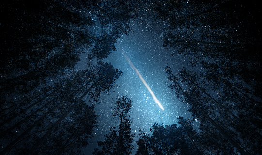 Noche hermosa cielo, la vía Láctea, meteoro y los árboles. Elementos de esta imagen proporcionada por la NASA. photo