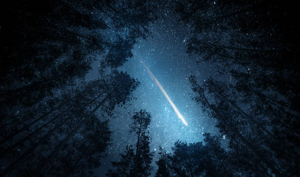 bellissimo cielo notturno, la via lattea, meteora e gli alberi. elementi di questa immagine forniti dalla nasa. - meteora foto e immagini stock