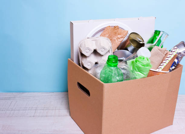 istock The concept of separate sorting of garbage, environmental protection, ecology, recycling household waste 1069914852