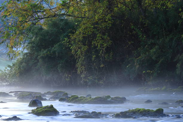 istock Early morning river landscape 1069915190
