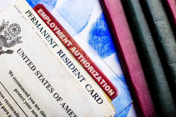 Passport and green card USA permanent resident card (Green Card) with Employment Authorization card next to passports and fingerprints embassy photos stock pictures, royalty-free photos & images