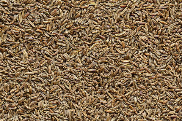 istock caraway seeds closeup background texture 1069933776