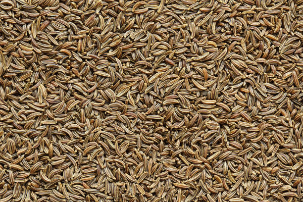 caraway seeds closeup background texture caraway seeds in closeup view background texture caraway seed stock pictures, royalty-free photos & images