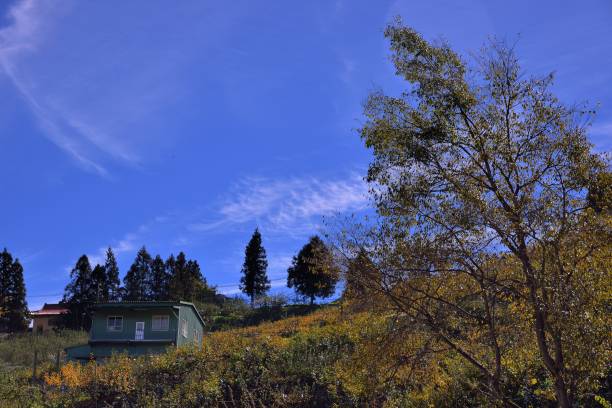 istock Lisha Scenic Area in Taichung, Taiwan. 1069941224