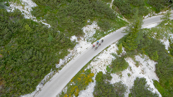 Group of male and female road bikers riding on mountain road surrounded by forest.